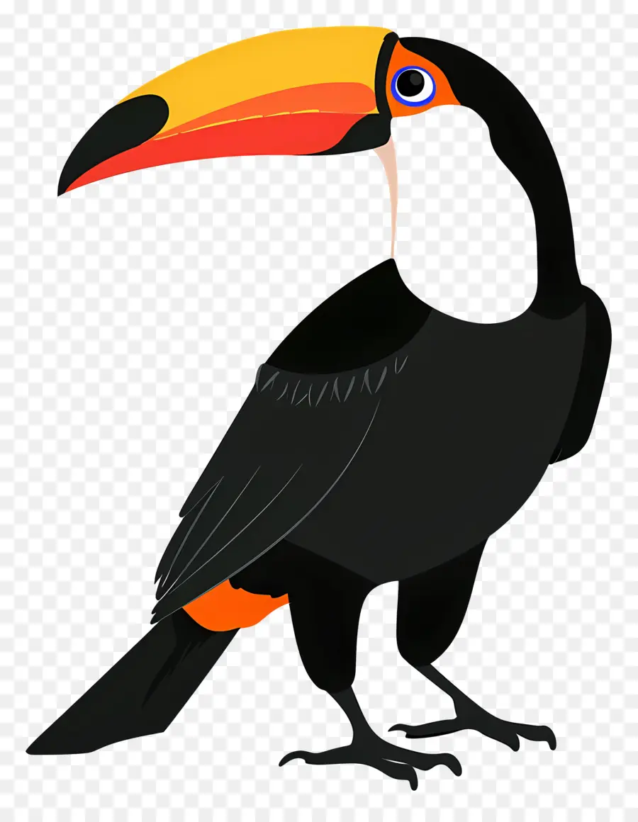 Toucan，Burung PNG