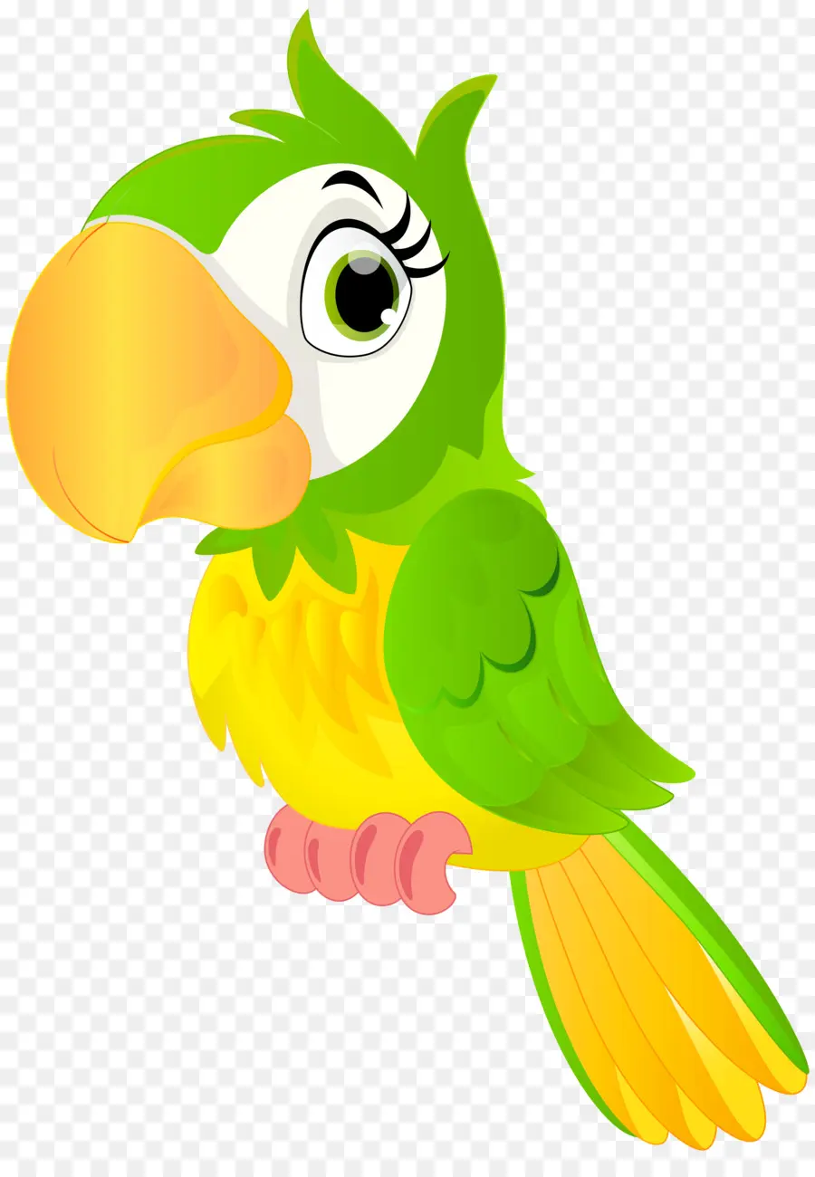 Burung Beo，Warna Warni PNG