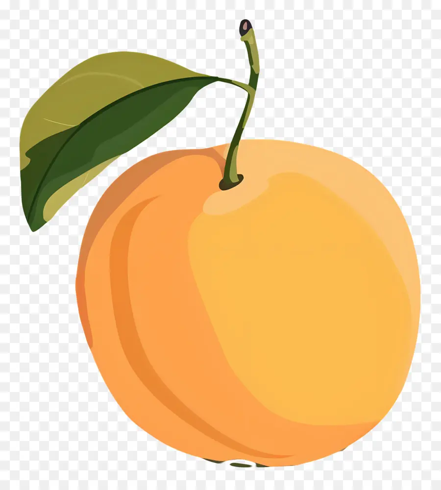Aprikot，Orange PNG