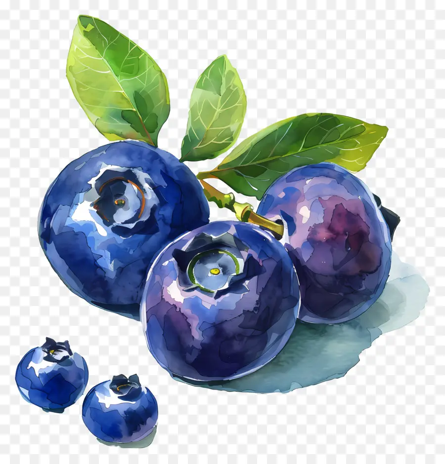 Blueberry，Buah Segar PNG