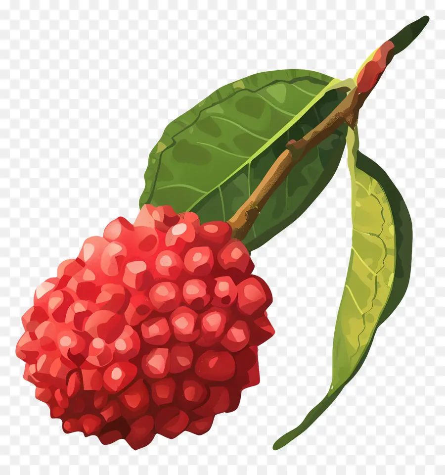 Leci，Berry Merah PNG