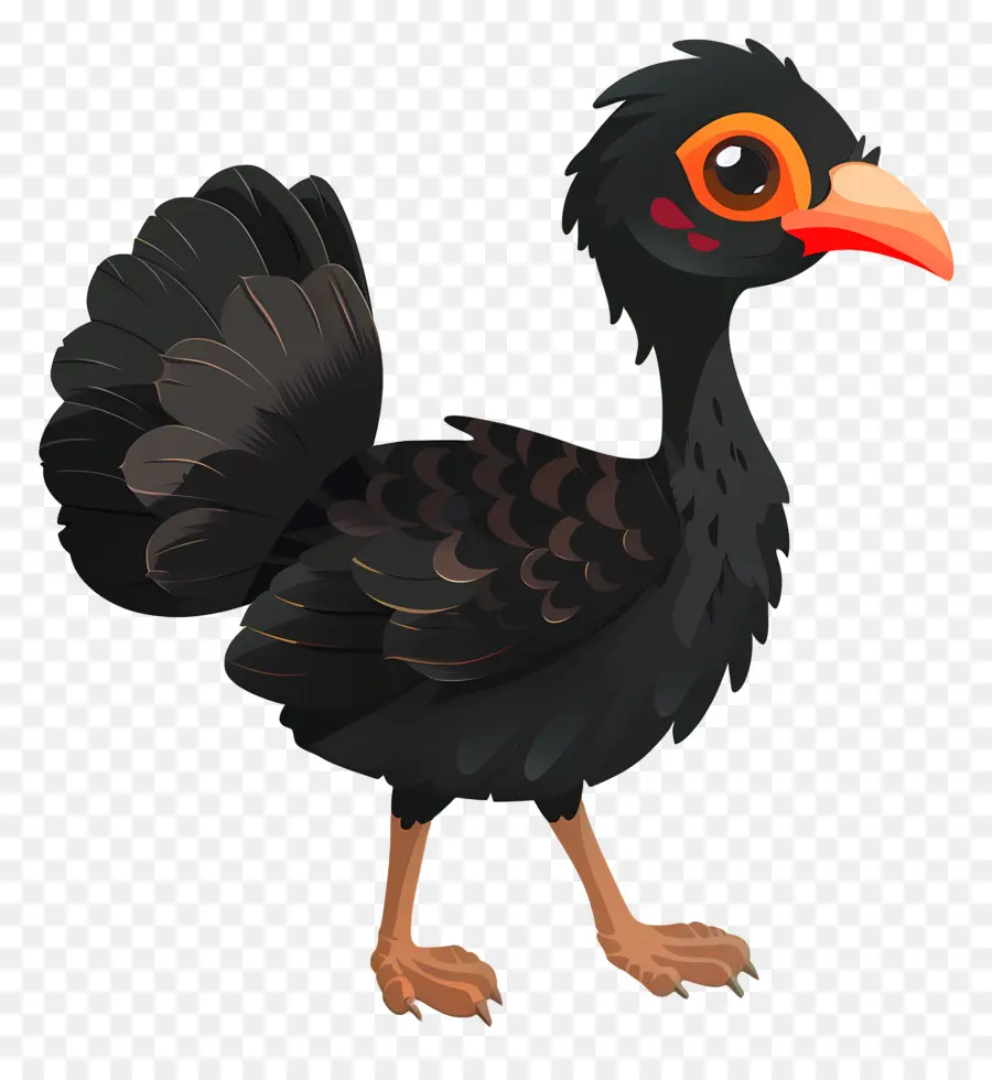 Turki，Kartun Burung PNG