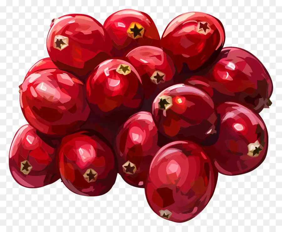 Cranberry，Matang PNG