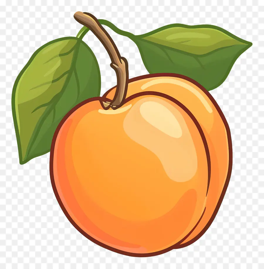 Aprikot，Orange PNG
