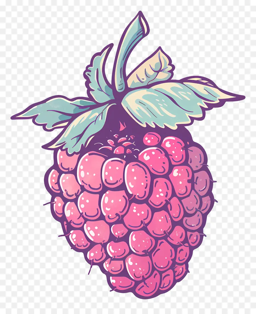 Raspberry，Pink PNG