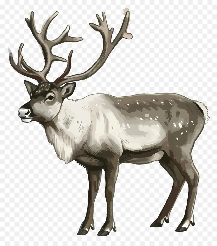 Rusa，Vektor PNG