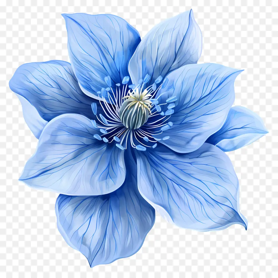Bunga Biru，Kelopak Besar PNG