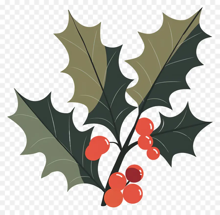 Holly，Berry PNG