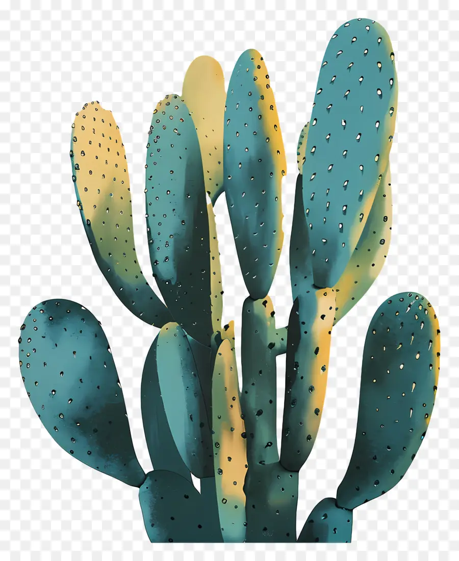 Kaktus，Lukisan PNG