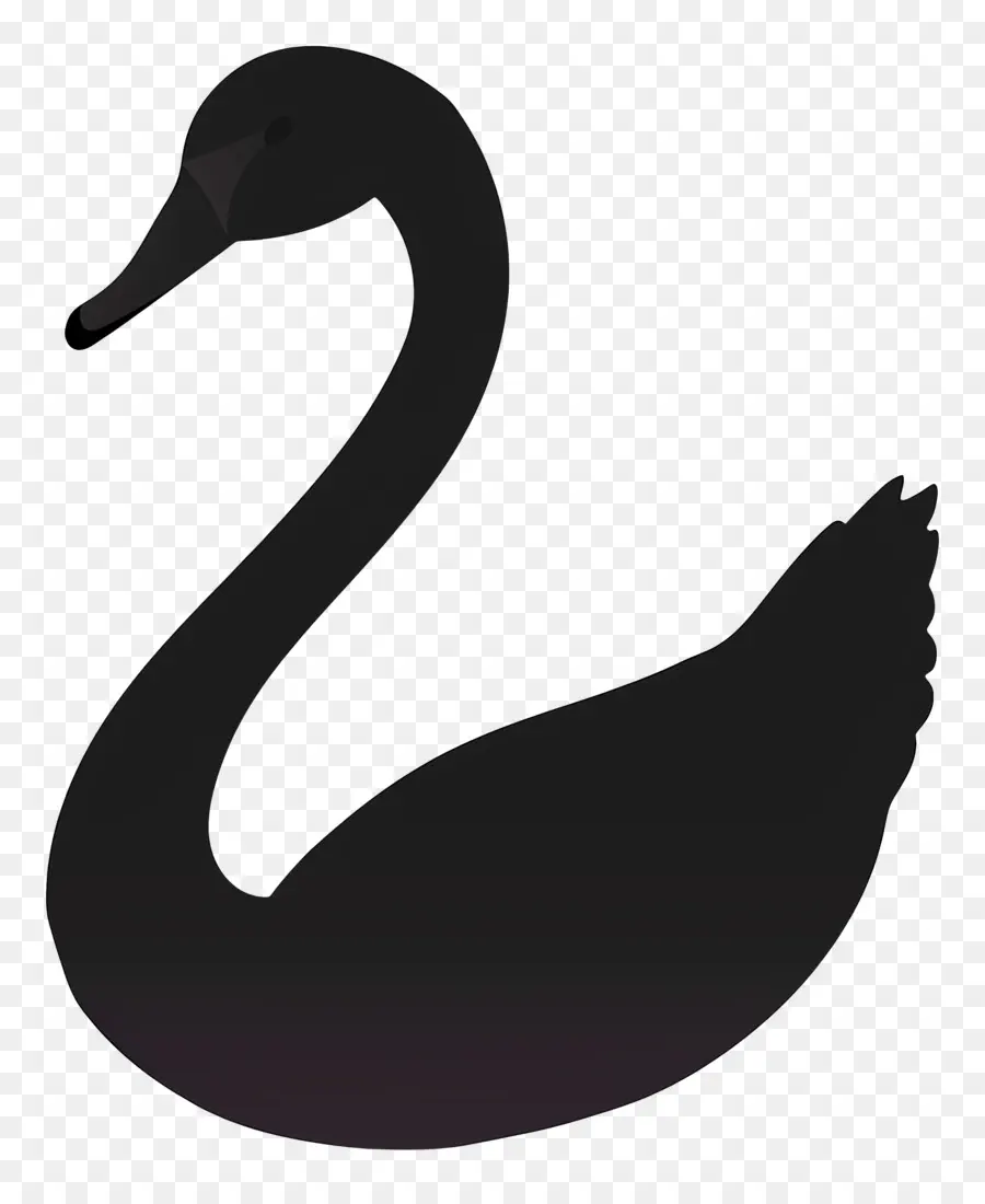Swan Siluet，Angsa Hitam PNG