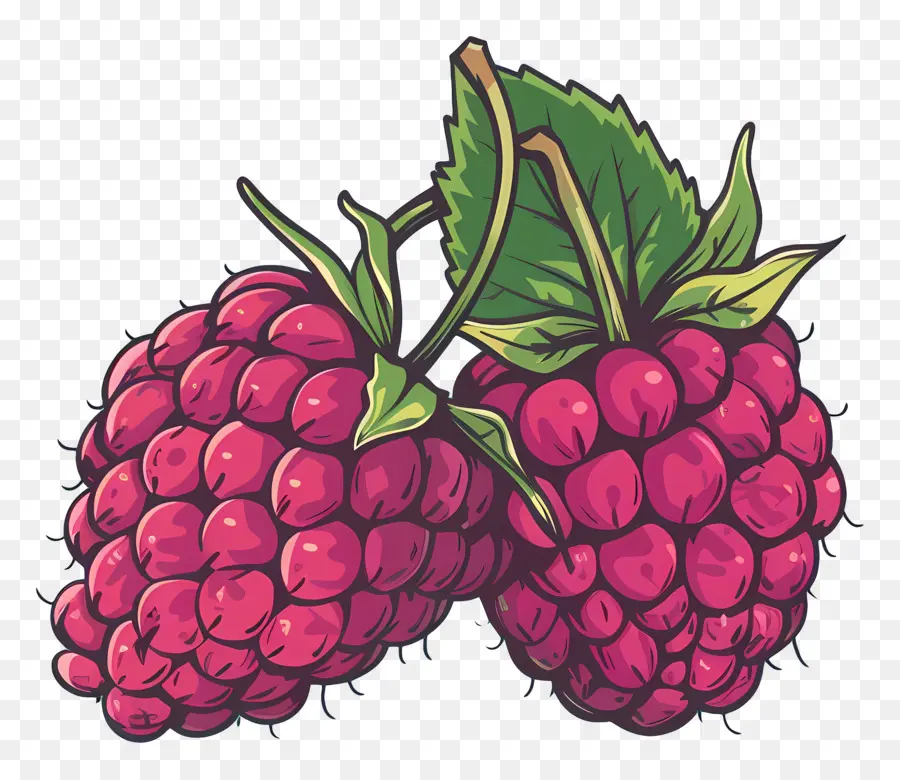 Raspberry，Memetik Buah PNG