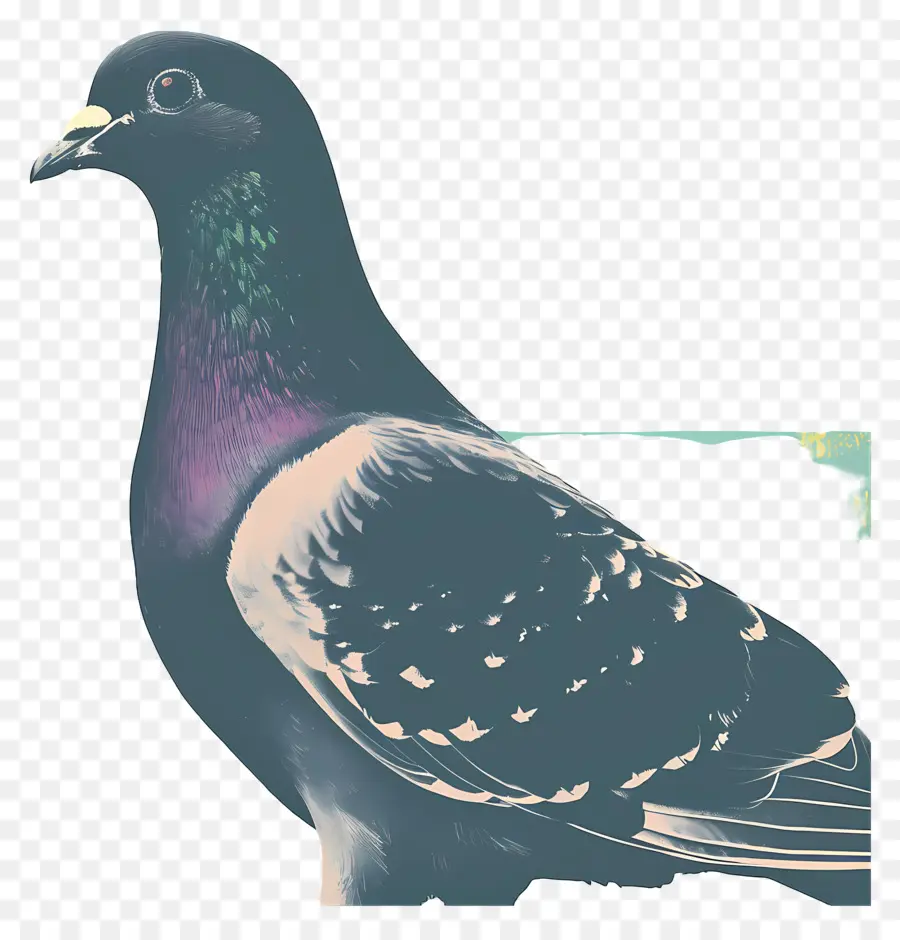 Merpati，Burung PNG