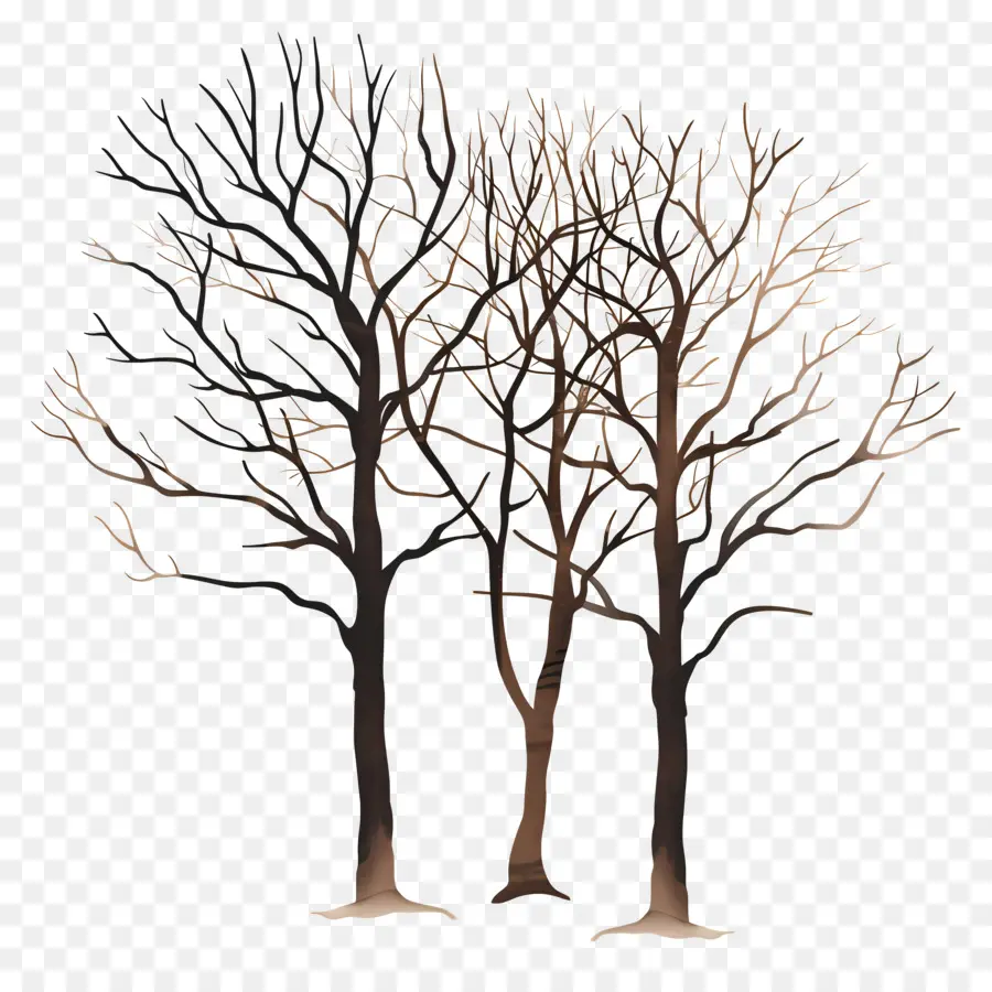 Pohon Pohon Gundul，Pohon Tanpa Daun PNG