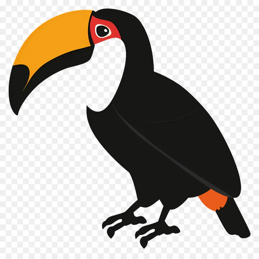 Toucan，Kartun Burung PNG