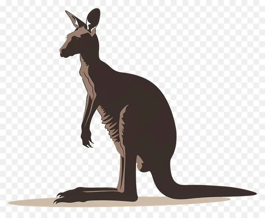 Kanguru，Satwa Liar Australia PNG