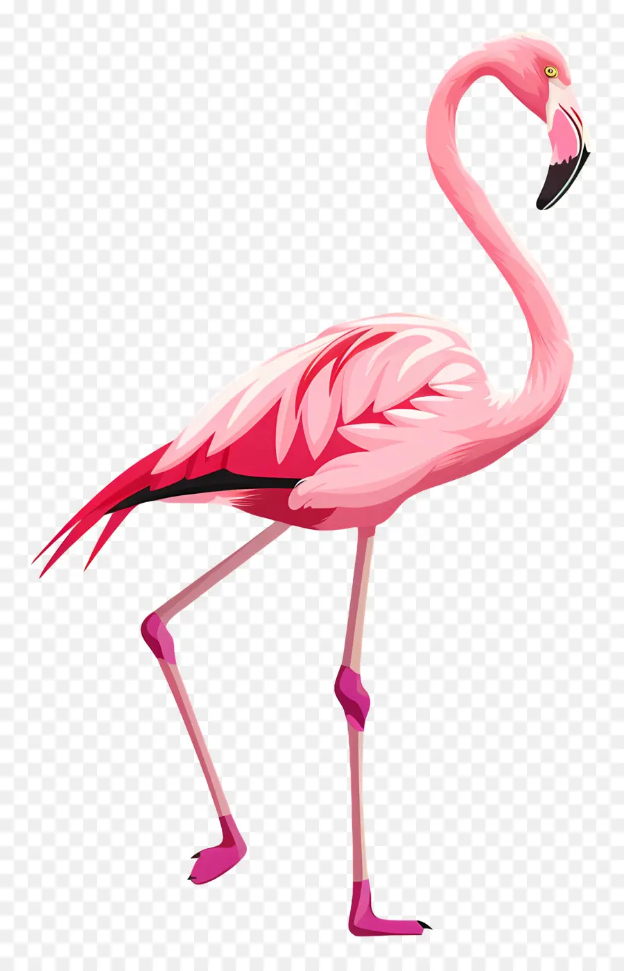 Flamingo，Pink PNG