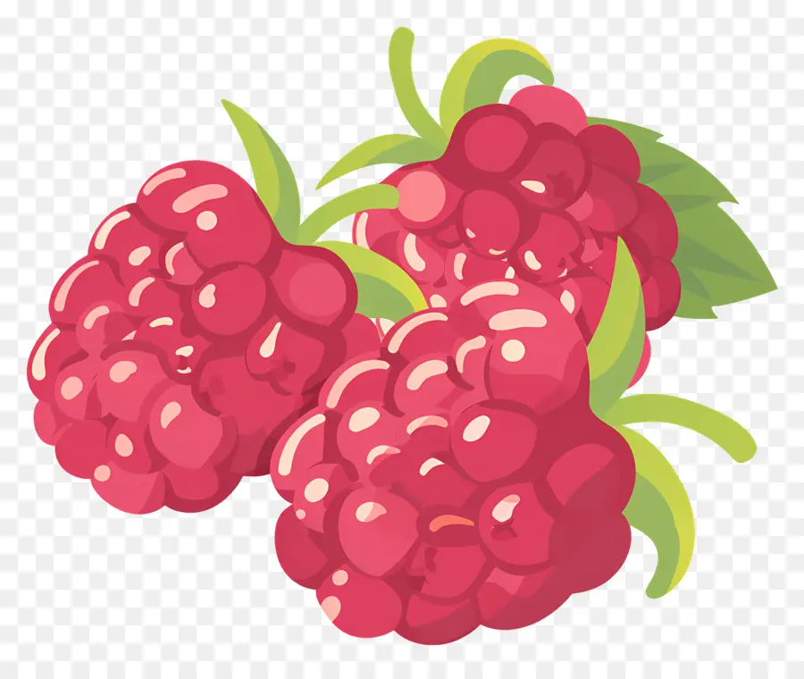 Raspberry，Segar PNG