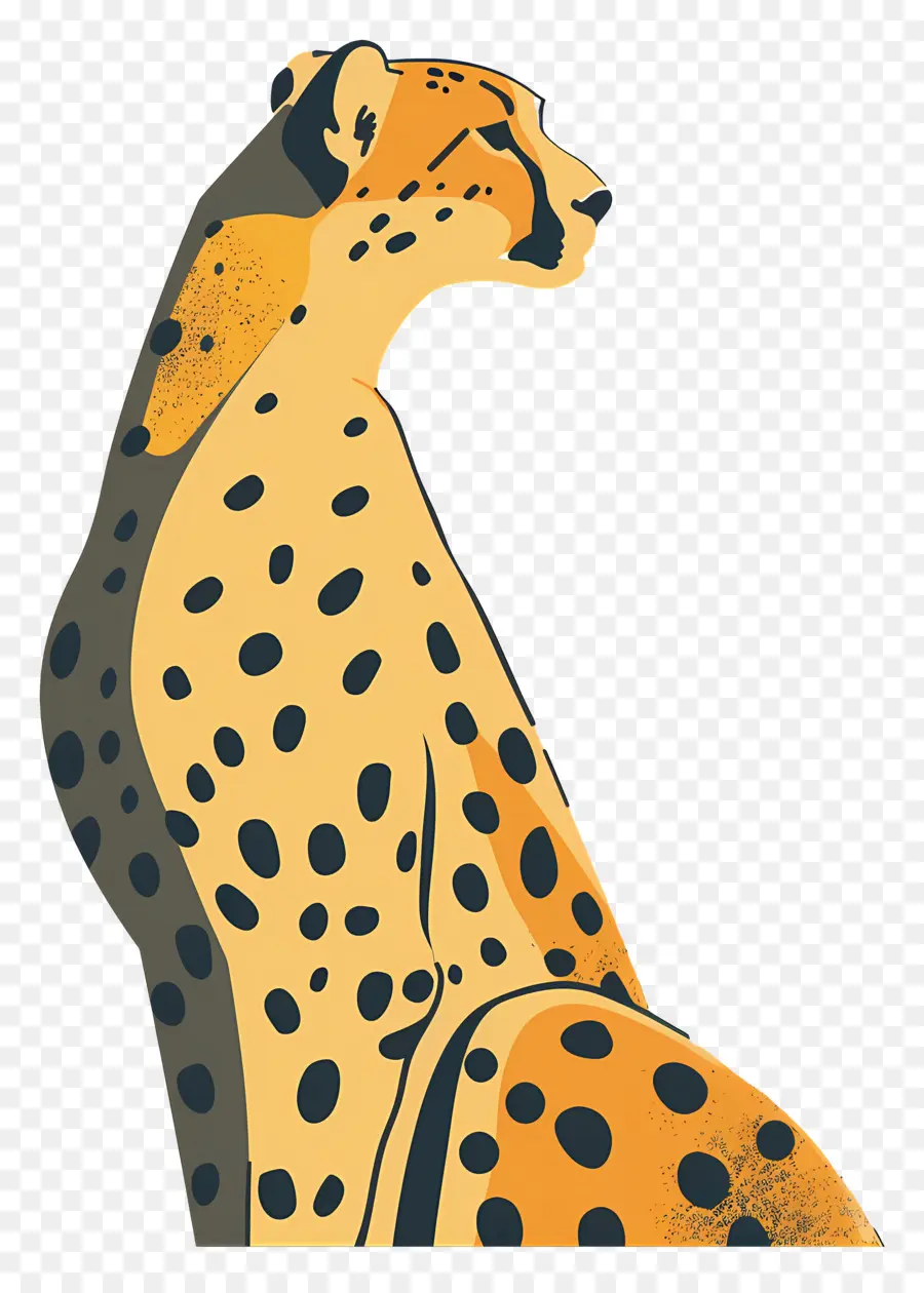 Sepatu Cheetah，Satwa Liar PNG