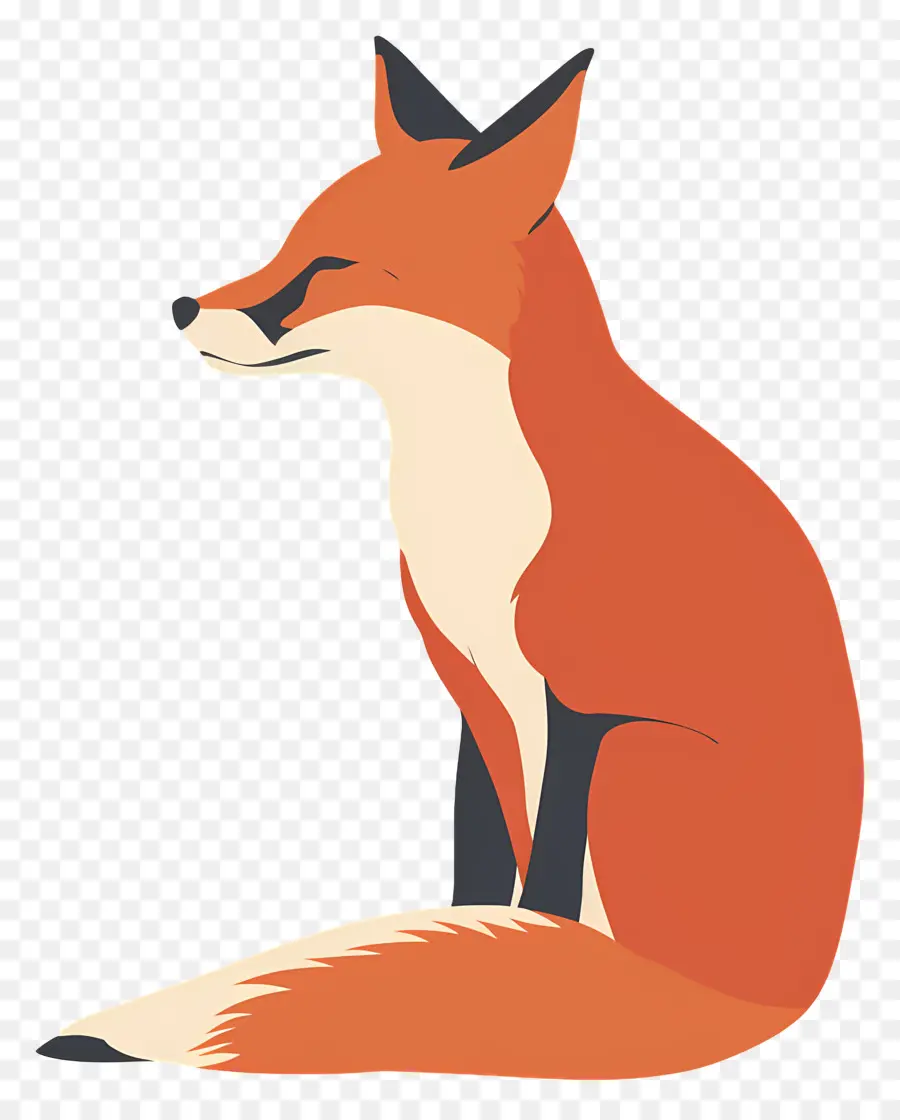 Fox，Orange PNG