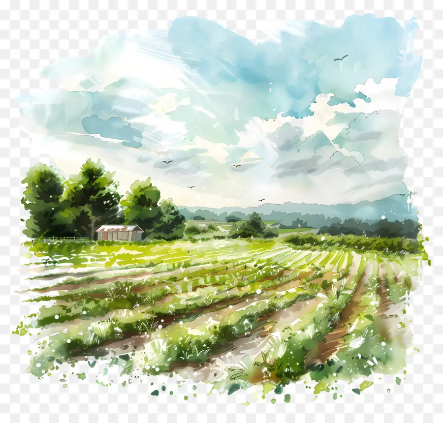 Bidang Pertanian，Lukisan Pemandangan PNG