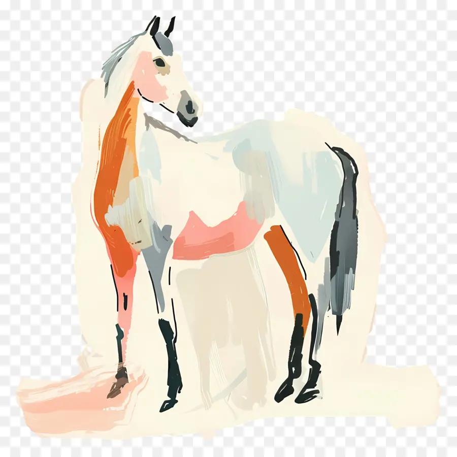 Kuda，Kuda Putih PNG