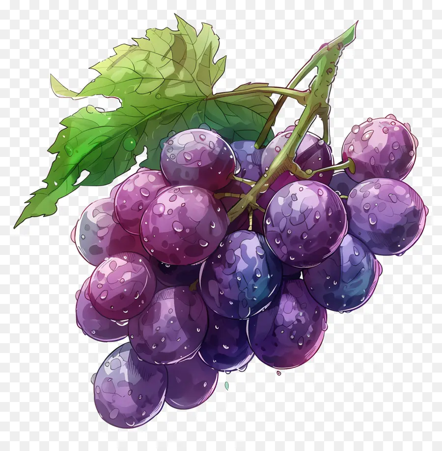 Anggur Animasi，Ungu Anggur PNG