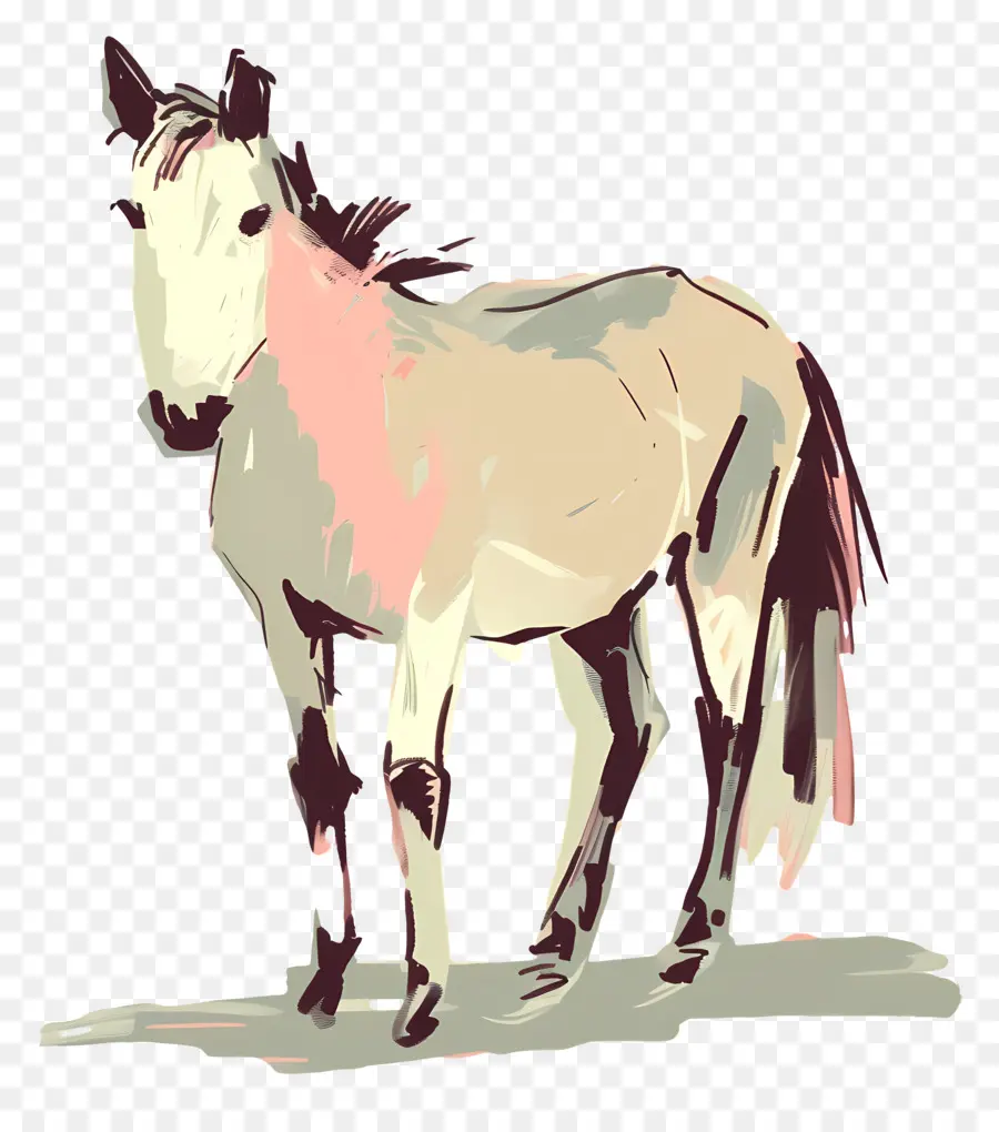 Kuda，Kuda Ilustrasi PNG