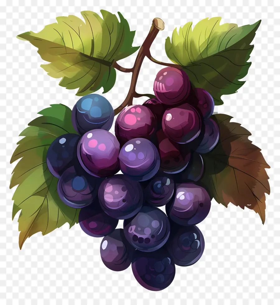 Anggur Animasi，Anggur PNG