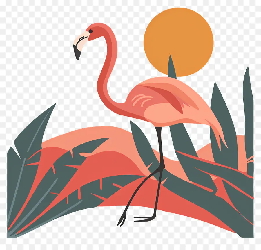 Flamingo，Pink PNG