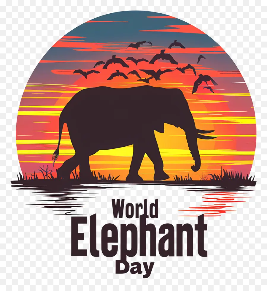 Gajah Sedunia，Gajah Siluet PNG