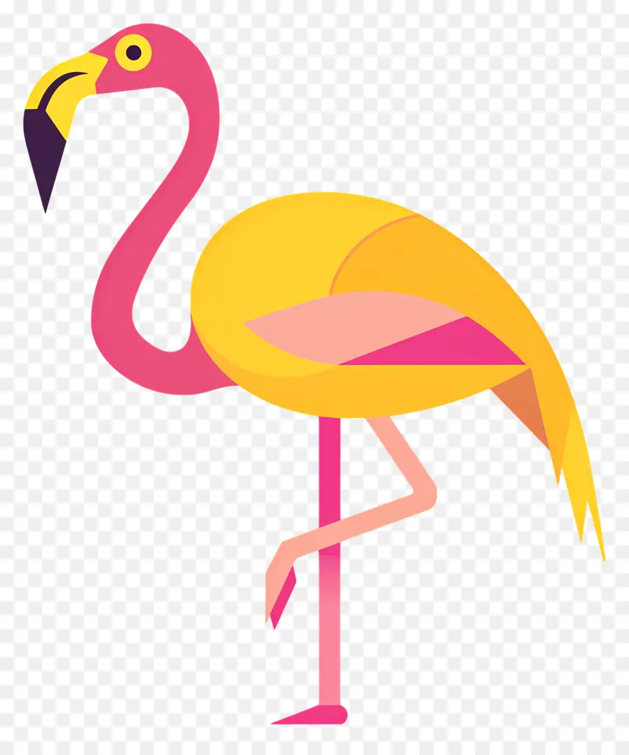 Flamingo，Flamingo Merah Muda PNG