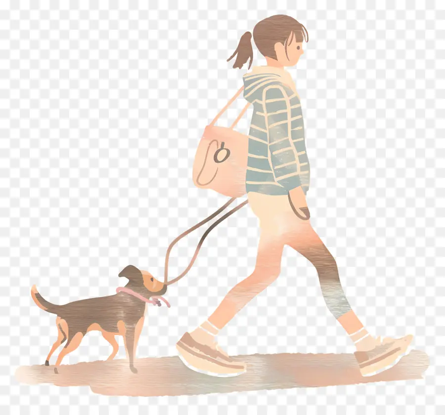Wanita Berjalan Anjing，Gadis Berjalan Dog PNG