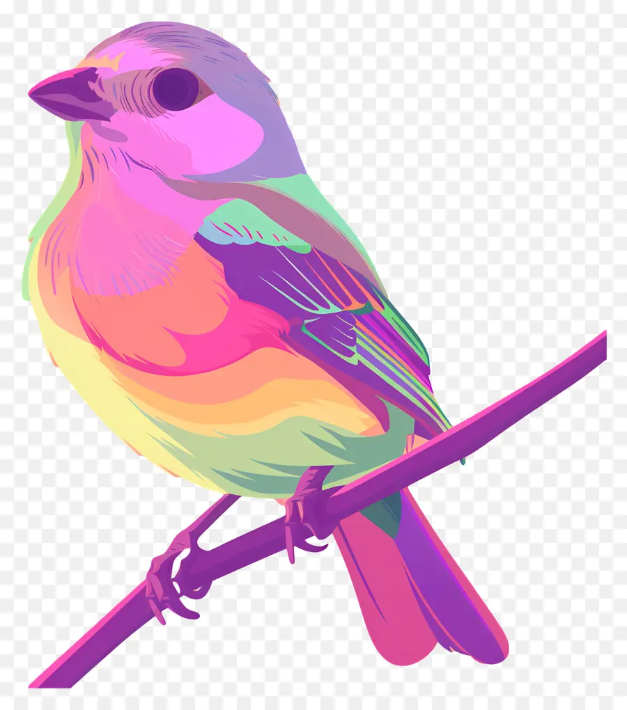 Burung，Warna Warni PNG