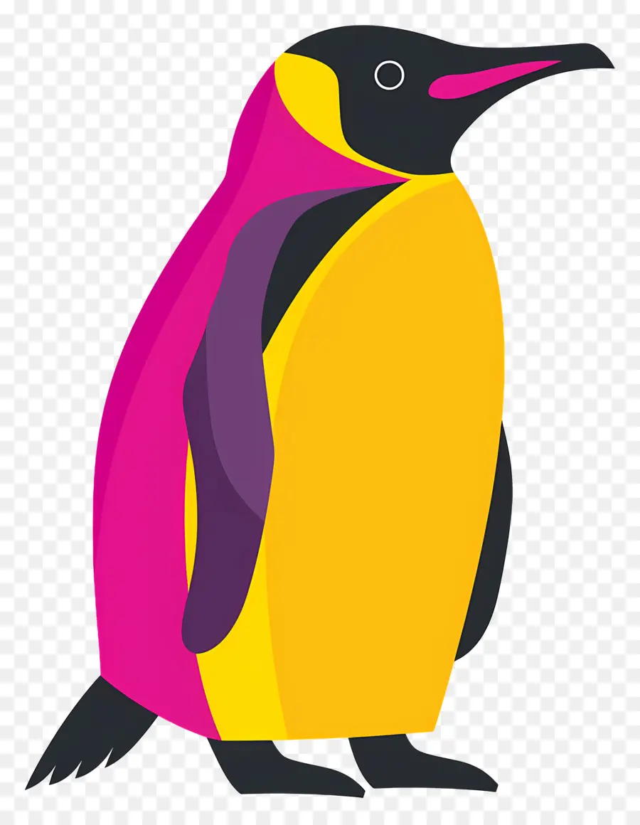 Penguin，Warna Warni PNG