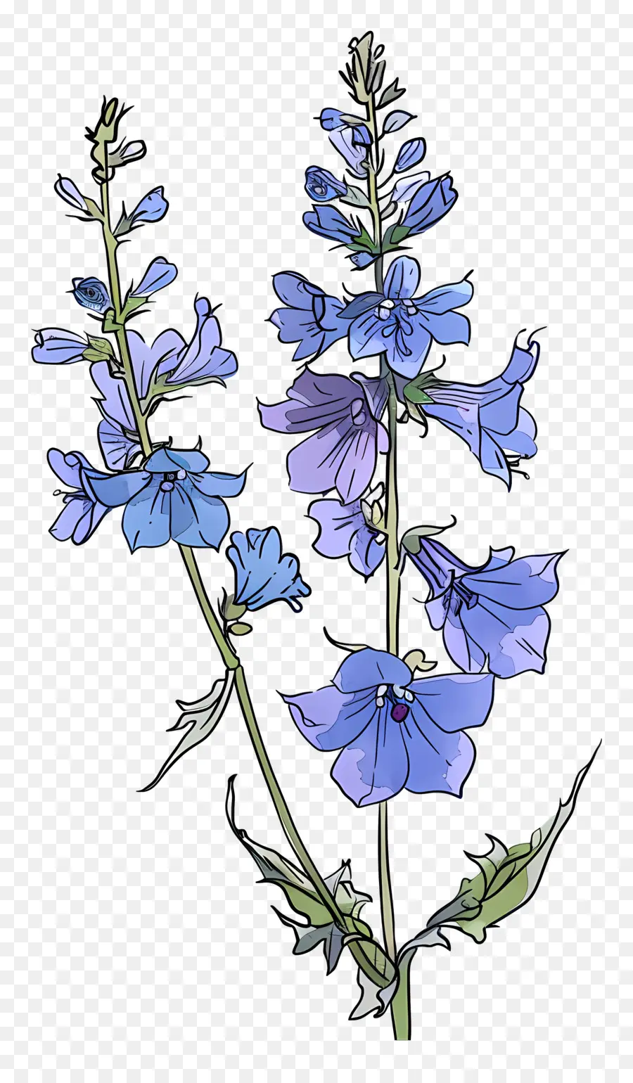 Larkspur，Bunga Ungu PNG