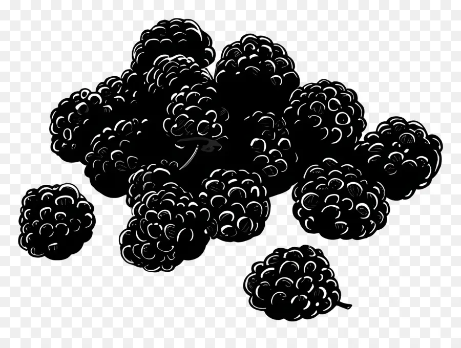 Blackberry，Buah Beri PNG