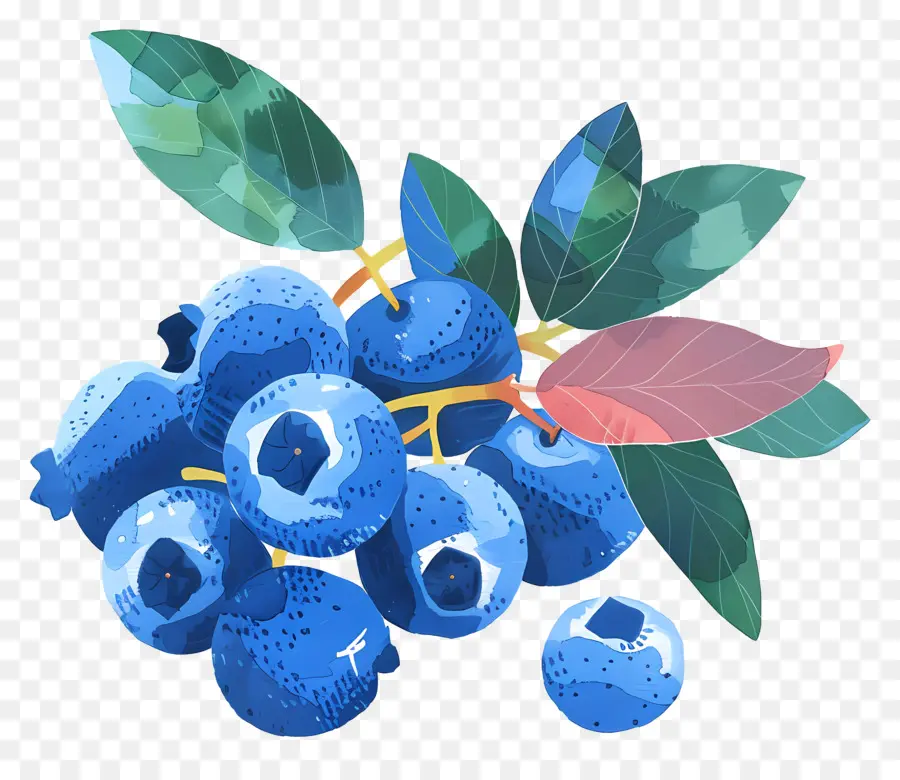 Blueberry，Daun Daun PNG