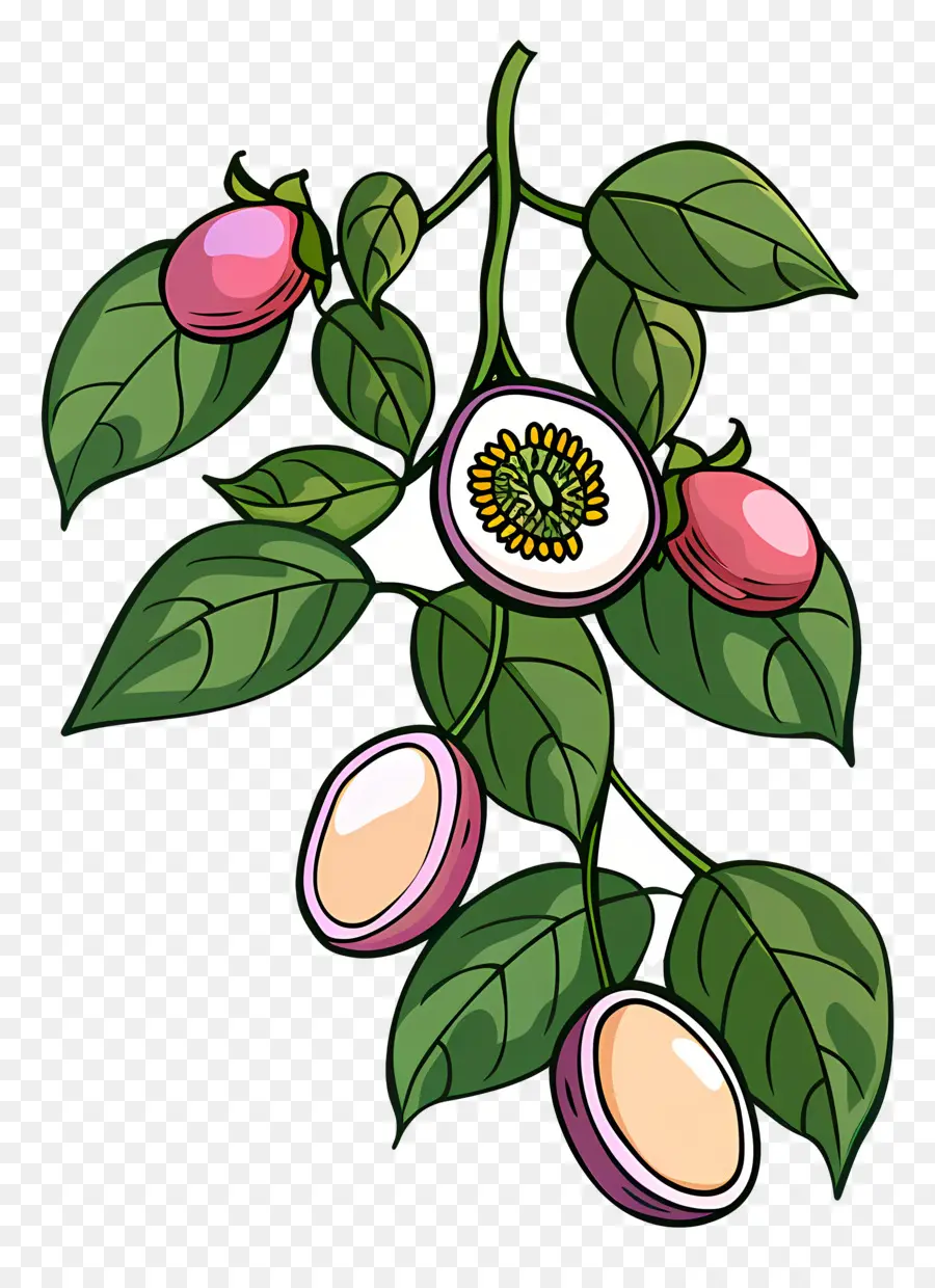 Buah，Buah Markisa PNG