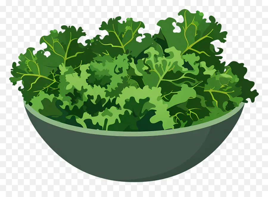 Salad Kangkung，Semangkuk Kangkung PNG