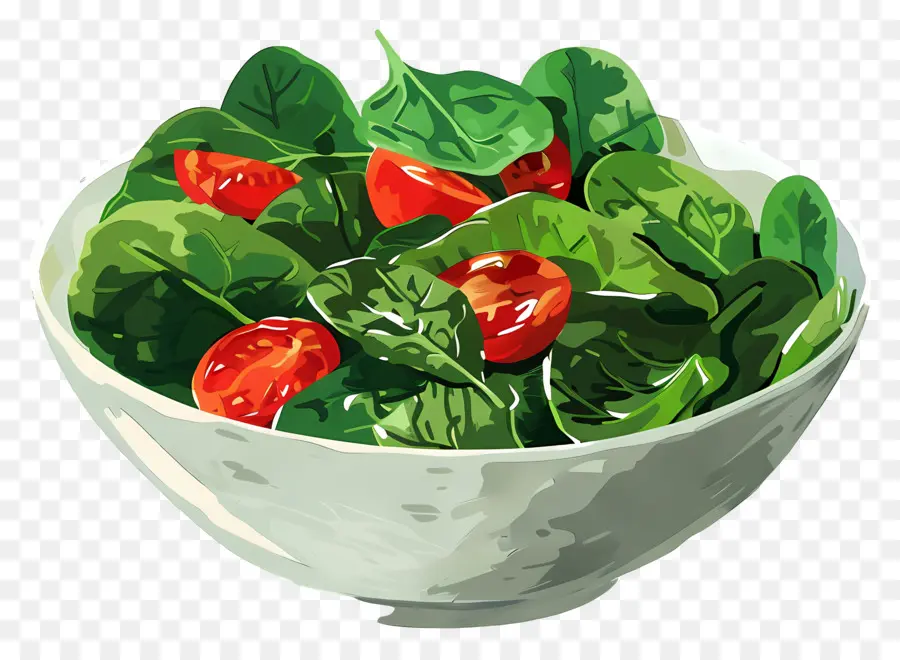 Salad Bayam，Salad PNG