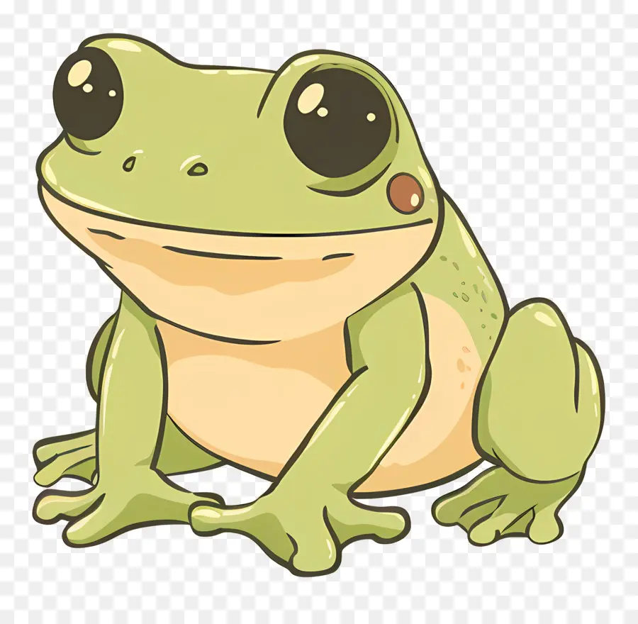 Katak，Katak Hijau PNG