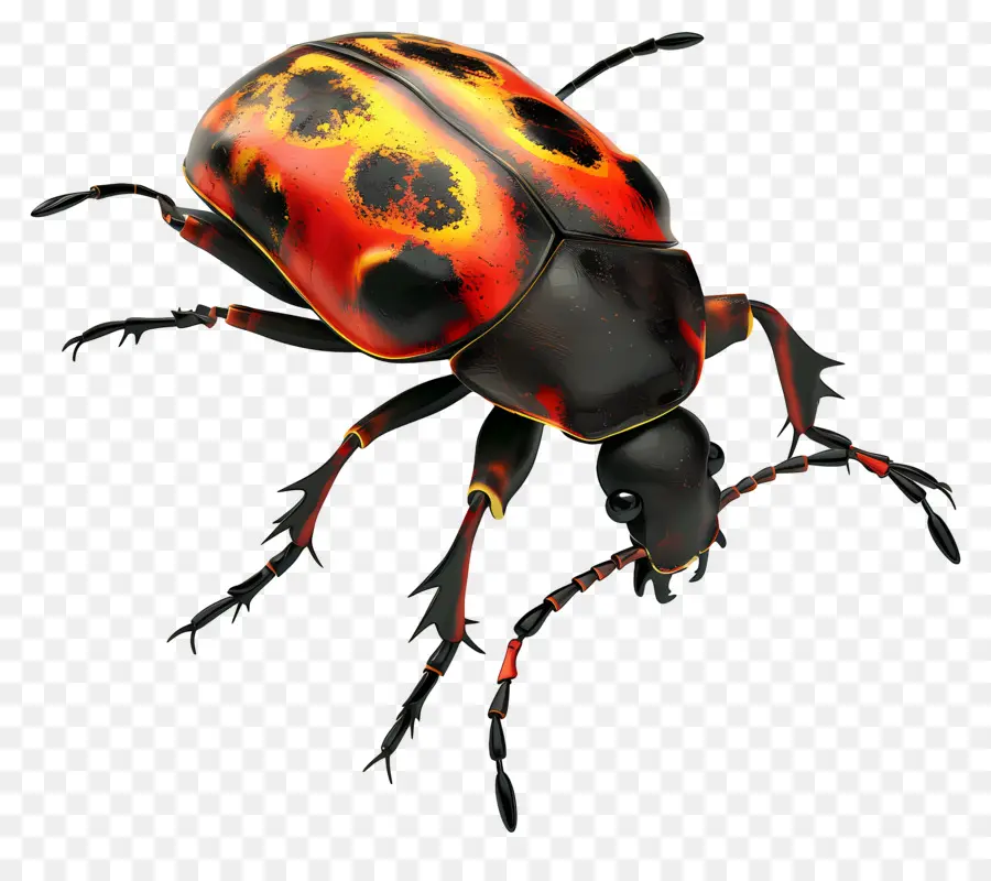 Petir Bug，Firefly PNG