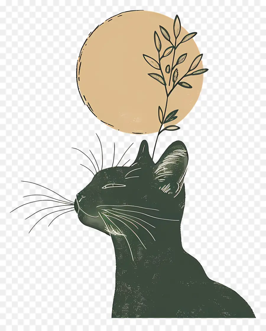 Abstrak Kucing，Kucing PNG