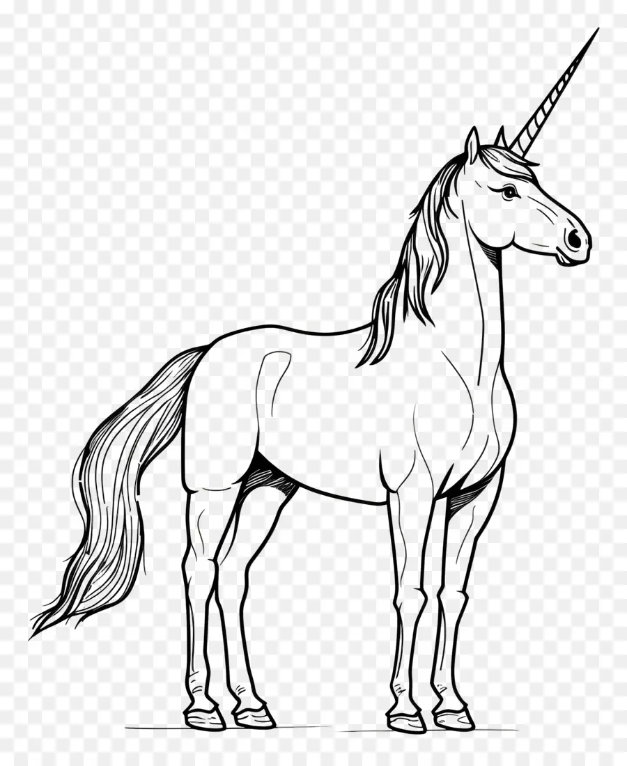 Unicorn，Gambar Unicorn PNG