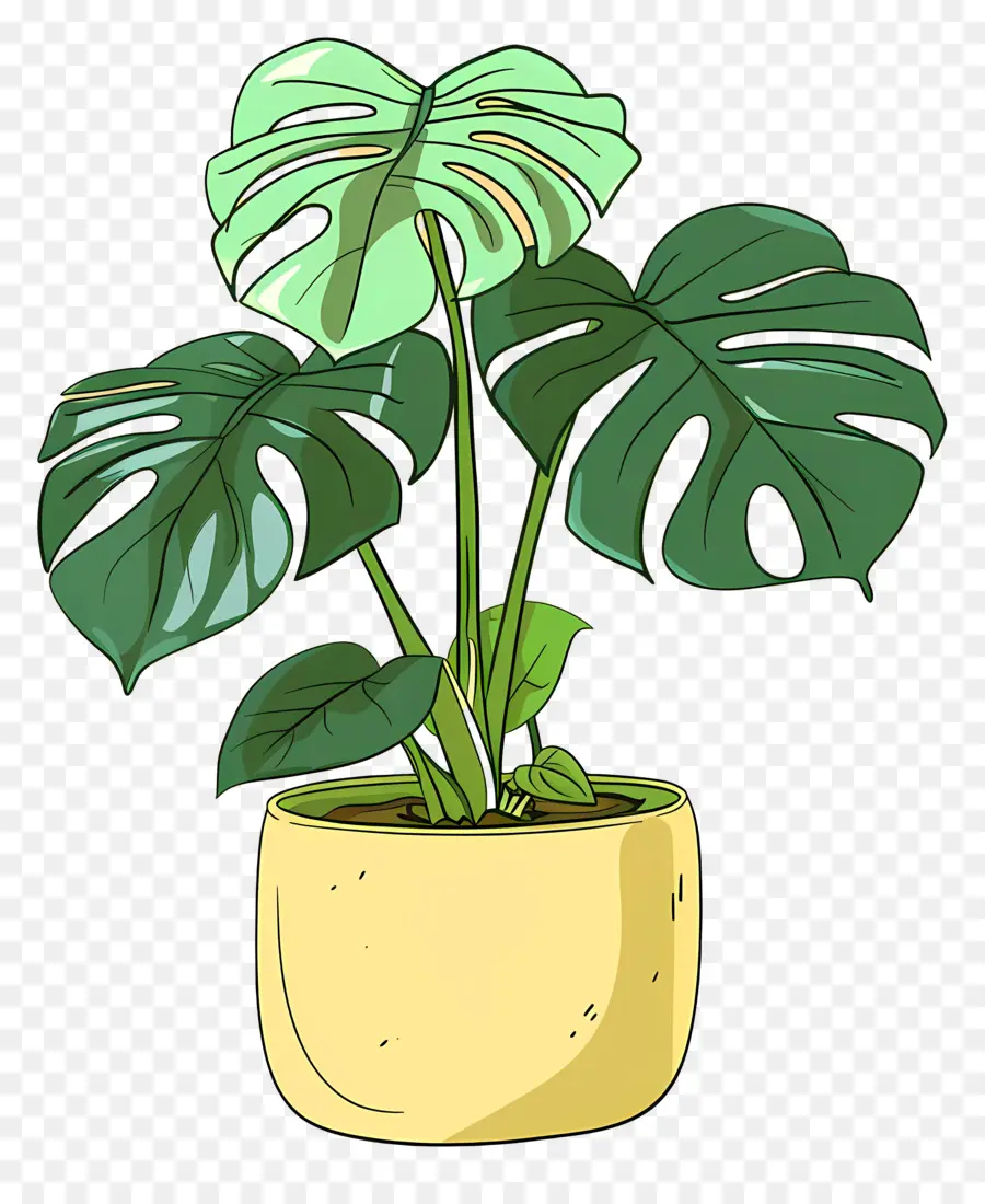 Monstera，Tanaman Pot PNG