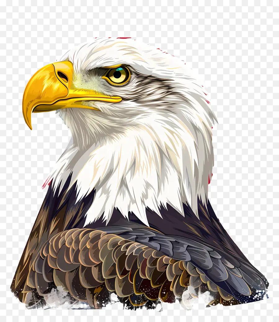 American Eagle Hari，Elang Botak PNG