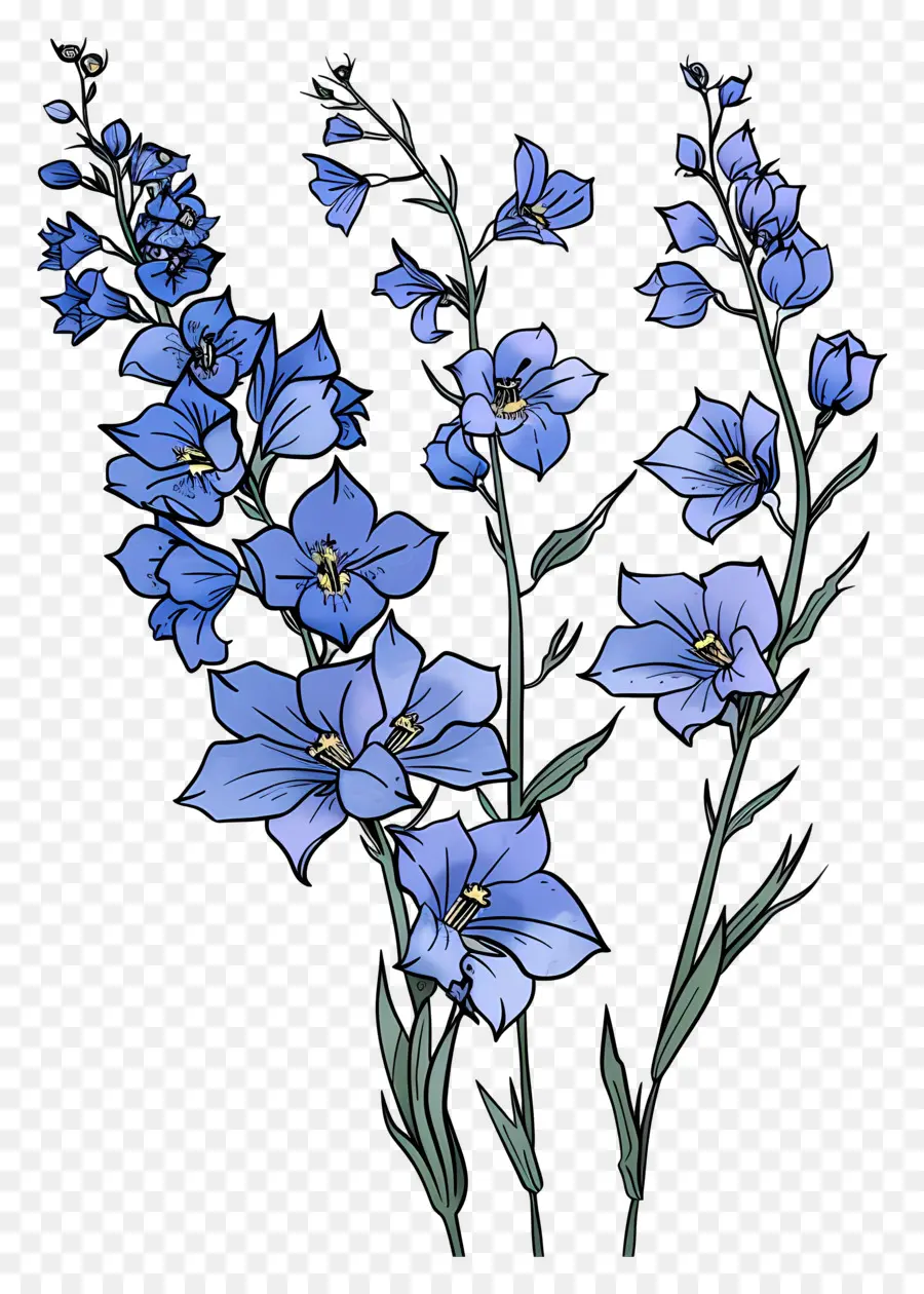 Delphinium，Bunga Ungu PNG