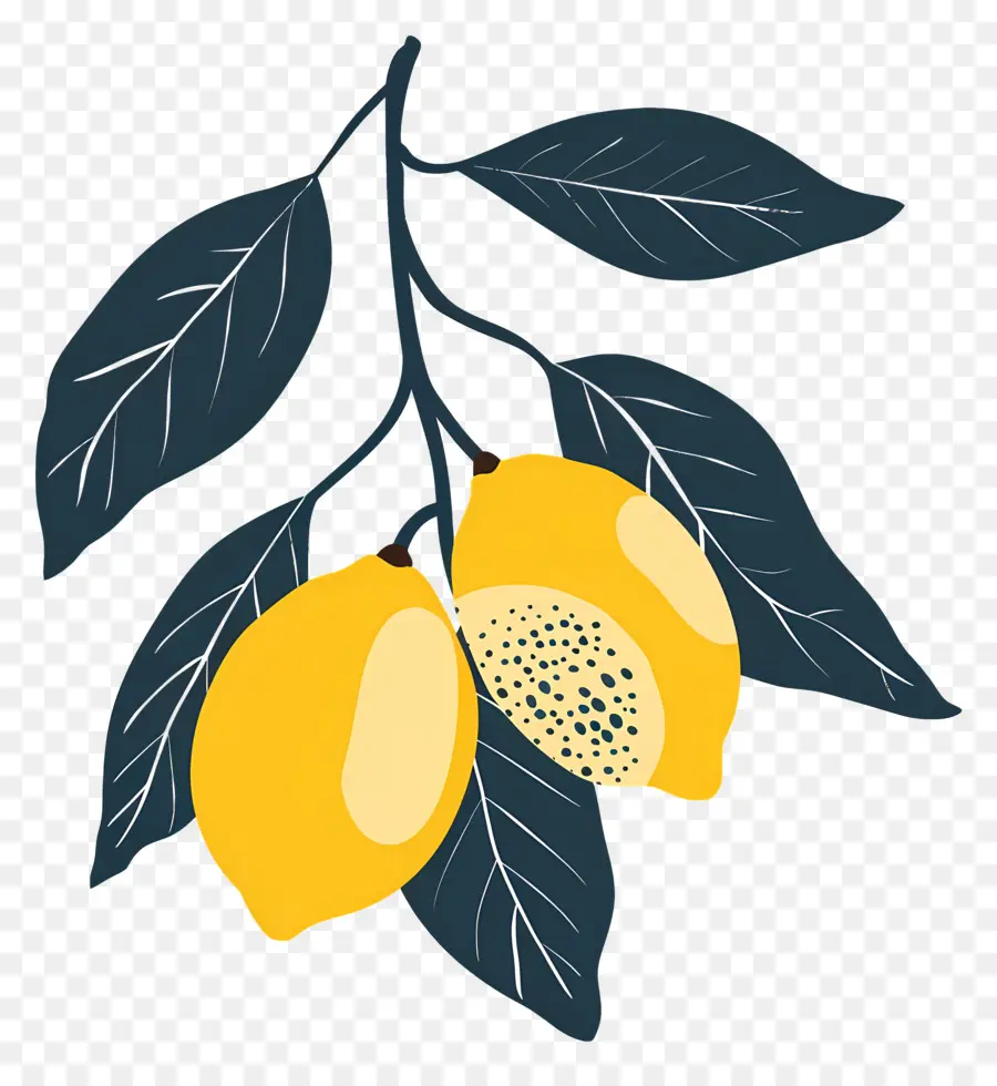 Lemon，Pohon Limau PNG