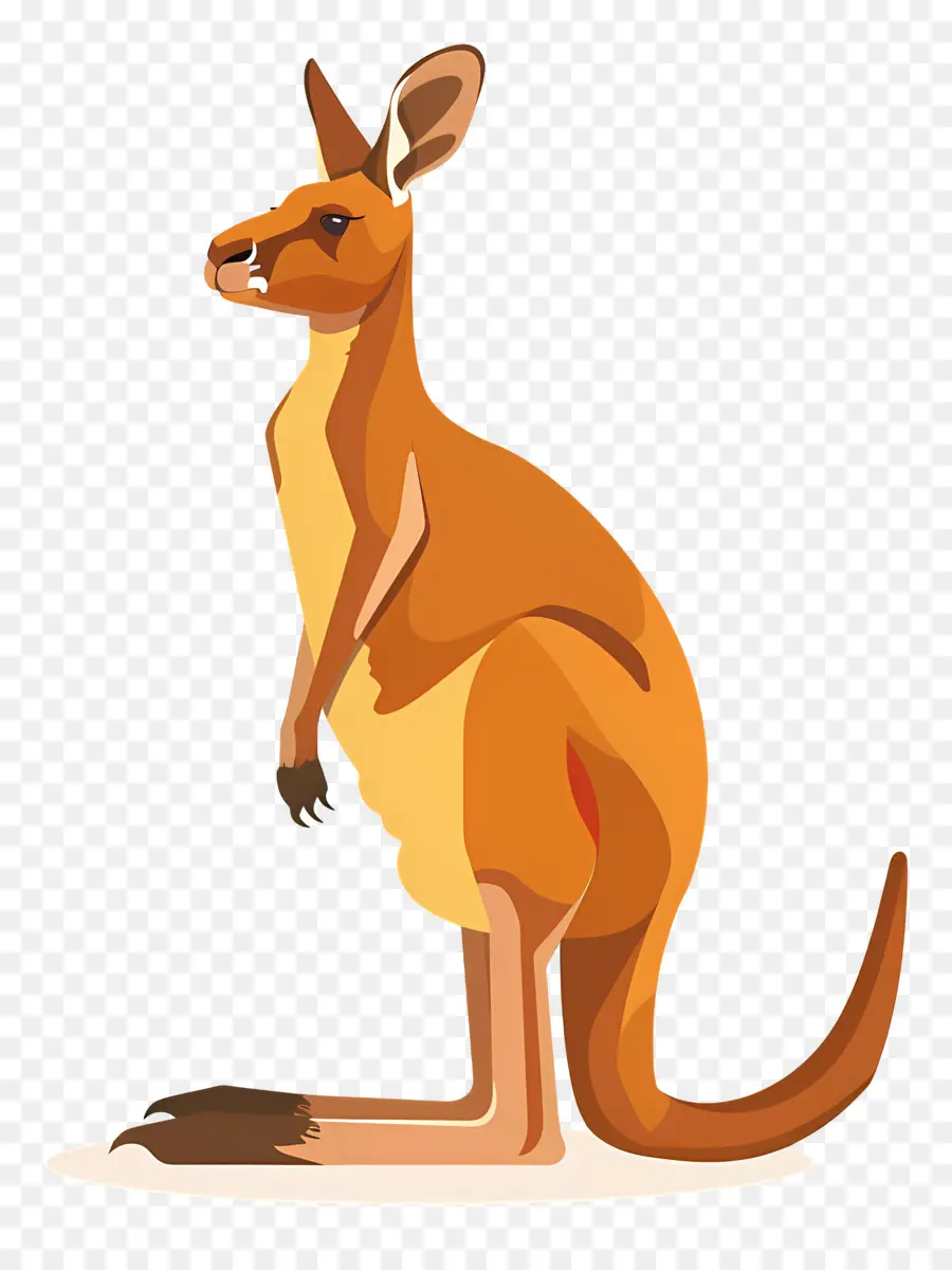 Kanguru，Kartun PNG