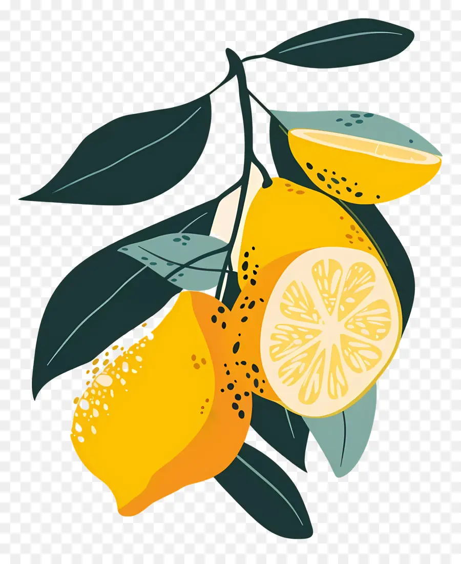 Lemon，Buah Jeruk PNG